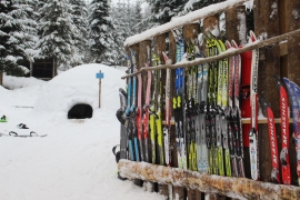Ski er populært på vinteren!